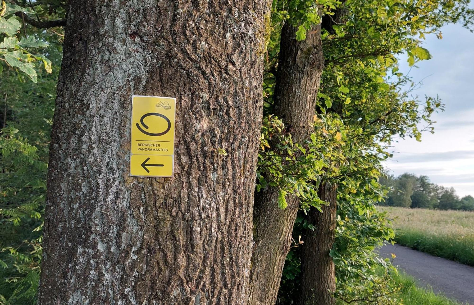 Ferienwohnung Waldbroel - Nahe Naturerlebnispark วาล์ดโบรล ภายนอก รูปภาพ